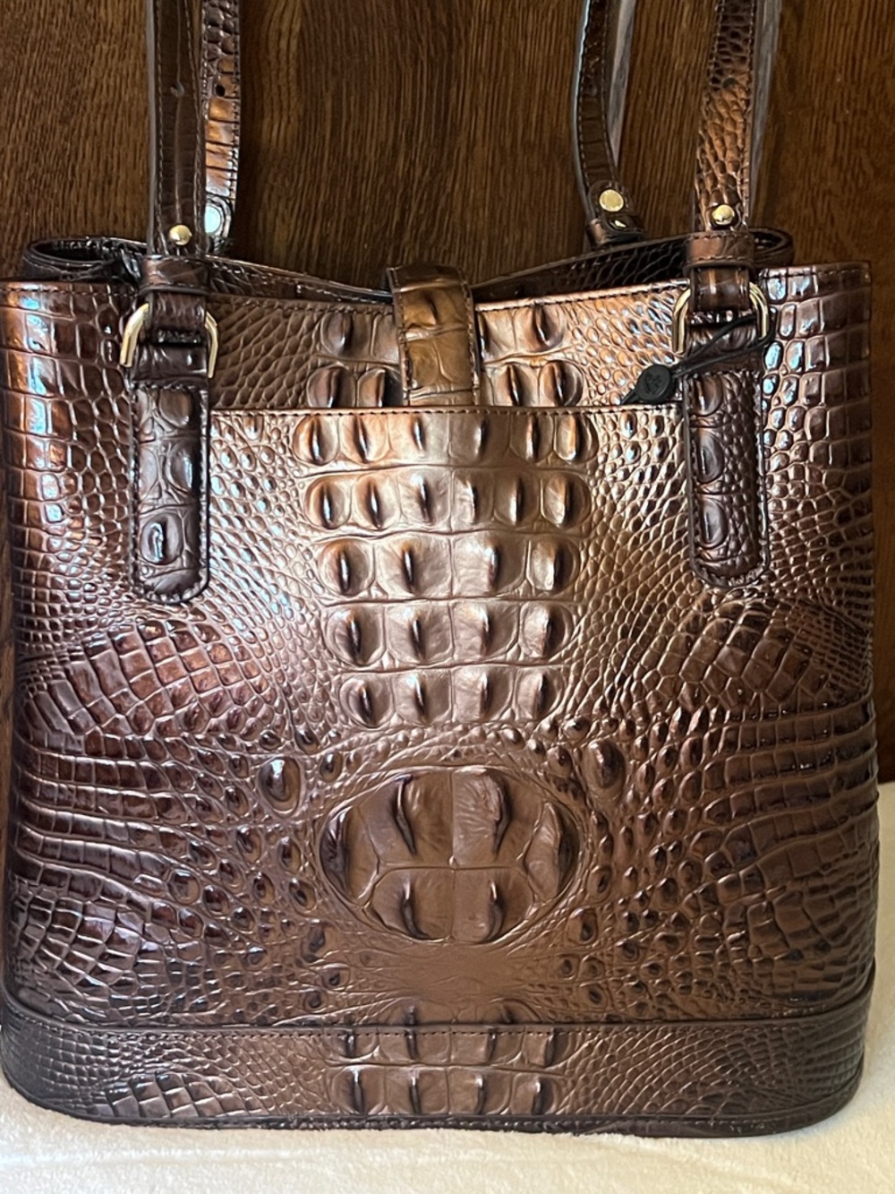 BRAHMIN FIORA Ganache Ombré Melbourne Bucket Bag NWT - Picture 15 of 17